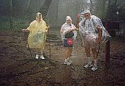 Millie,Nancy,Ray