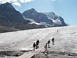 Athabasca Glacier