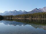 Herbert Lake