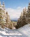 Colorado