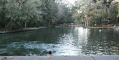 Wekiva Springs